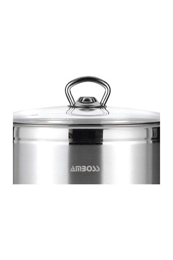 Amboss Saphire 9 L Deep Pot - 28x17 Steel Lid, Model