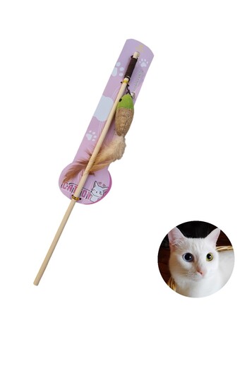 Suencu Cat Playing Rod & Silicone Teething Brush Set