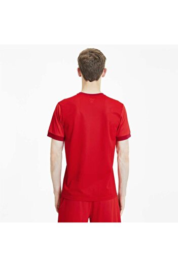 Puma Team Goal 23 Jersey Men's Red Round Neck T-Shirt