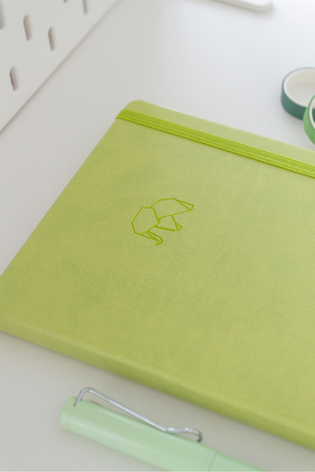 Matt Notebook Caiet A5 cu puncte verde deschis