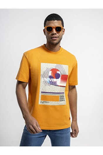 Loft Men's Regular Fit T-Shirt - Sleeves 4073