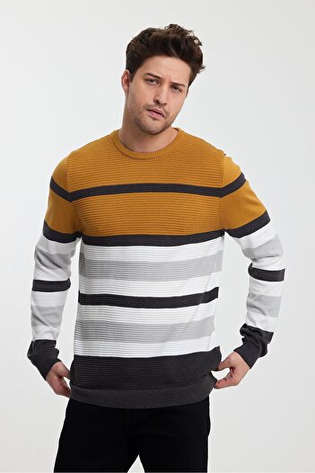 ALEXANDERGARDI Alexandergardı Crew Neck Color Blocked Men's Sweater (E23-6710)