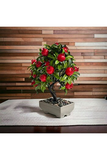 Live House Rectangular Potted Pomegranate Tree