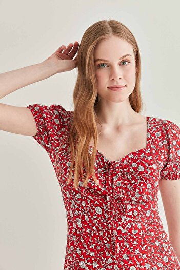 Vitrin Small Sleeve Dress with Collar and Lace Detail
