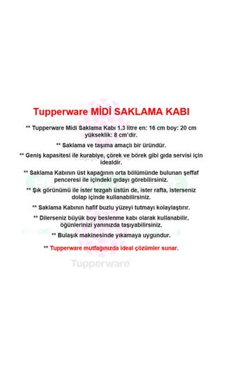 Tupperware Saklama Kabı F20 Kurabiye Börek Beslenme Kabı Midi Hsgl Pembe