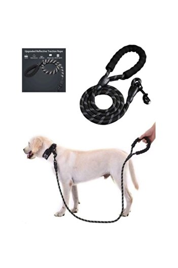 CARNIVAL LAND A+ Quality - Reflective Strap, 130 cm Medium and Large Size Walking Collar Money Dogs