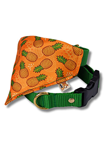 UTDpet Dog Collar with Pine Scarf