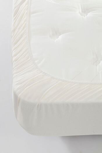 Anemons Single Combed Cotton Elastic Sheet - Ecru
