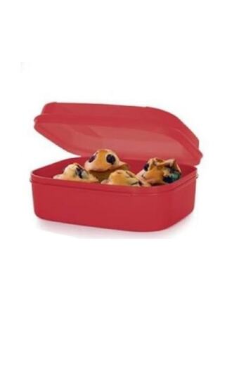 Tupperware Saklama Kabı F20 Kurabiye Börek Beslenme Kabı Midi Hsgl Pembe