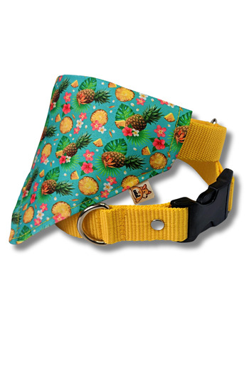 UTDpet Pineapple Dog Collar with Scarf