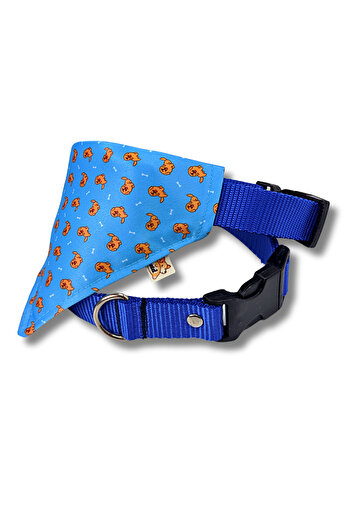 UTDpet Goldie Dog Collar with Scarf