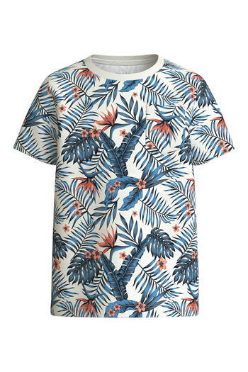 Name it NKMVALMAS 2P SS TOP