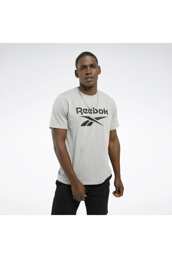 Reebok Identity Stacked Logo Men's Gray Round Neck T-Shirt