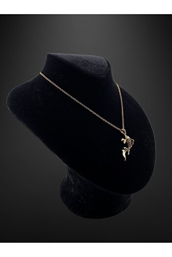 FAYRA ACCESSORIES Black Diamond Taşlı Balık Figür Kolye