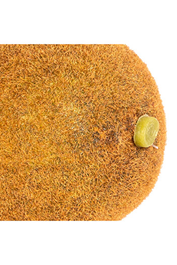 Euro Flora Fructe Artificiale Kiwi 6X7 Cm