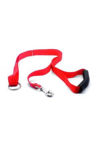 petviya Dog Walking and Training Collar Red