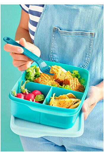 Tupperware 3 Compartment Lunch Box 1 lt