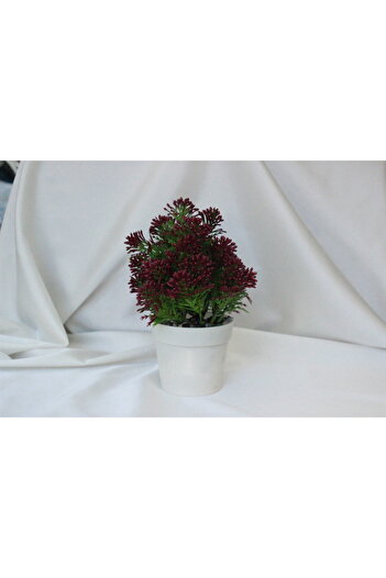 Live House Round Flower Pot Ball Grained Small Flower Red