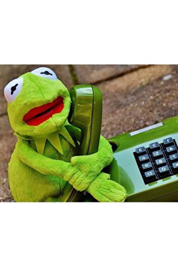 Schulzz Susam Sokağı Kurbağa Kermit Peluş Oyuncak 41cm