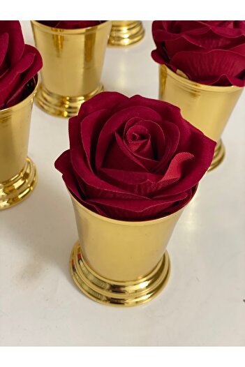 Elzemm store Gold Plated 6-Piece Rose Bucket Red Rose Included