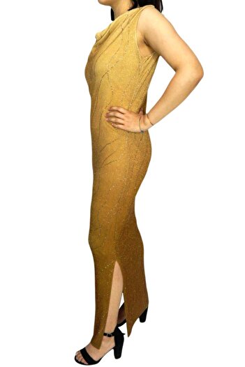 PROTO Women's Light Brown Silvery Jewelled Long Dress Prt66084