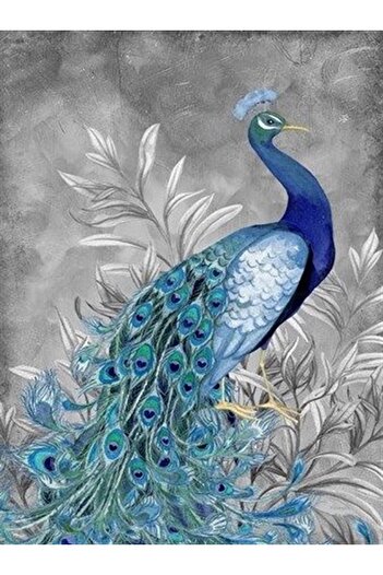 MARCEL SANAT Peacock Diamond Mosaic Painting 38x51cm