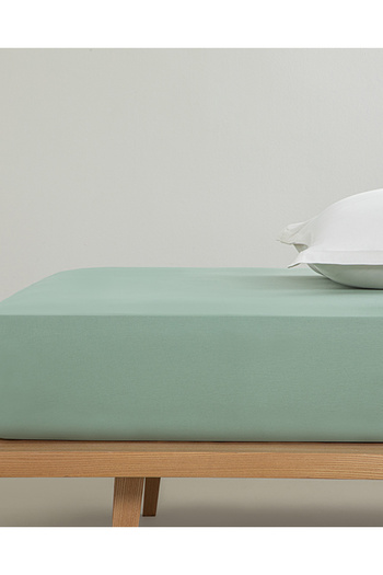 English Home Green Plain Cotton Intermediate Size Elastic Sheet