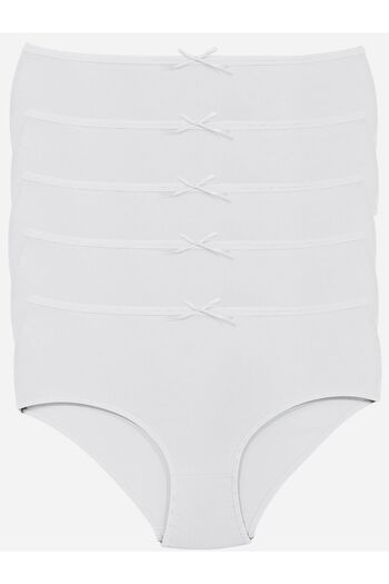 Miss Blue Moon High Waist 5-Piece Bato Panties 5000