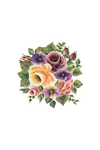 Cadence Xl02 35x50 Rose Land