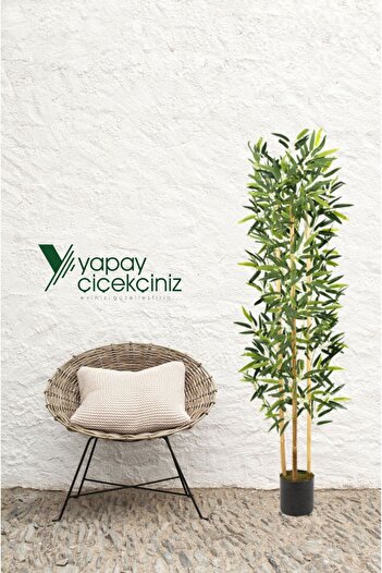 YAPAY ÇİÇEKÇİNİZ Yapay Yoğun Yapraklı Dekoratif Bambu Ağacı 3 Gövde 150cm