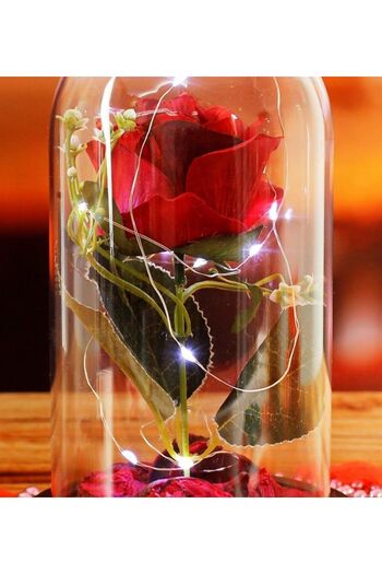 Cennet Home Led Light Red Rose in a Jar Gift Artificial Flower 3 Functions for Special Occasions