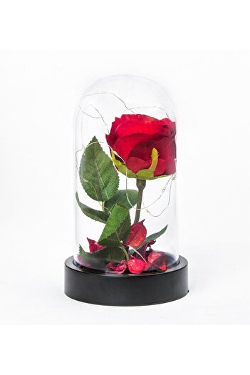 Cennet Home Led Light Red Rose in a Jar Gift Artificial Flower 3 Functions for Special Occasions