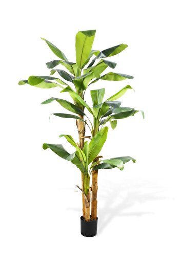 Nettenevime Yapay Ağaç Dev Muz Ağacı Yapay Starliçe 280cm 3 Gövdeli