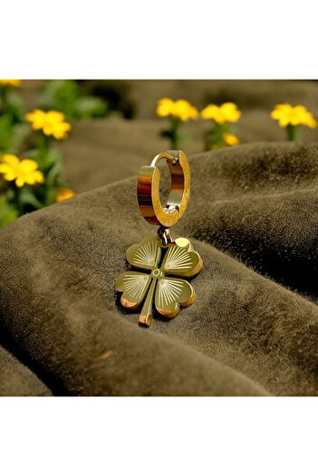 Housess Gold Steel Dangle Earrings