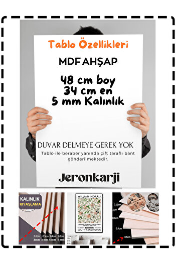 Jeronkarji Axolotl Meksikalı Yürüyen Balık Sevimli Amfibi Axolotl Tablo Ahşap Poster Dekoratif