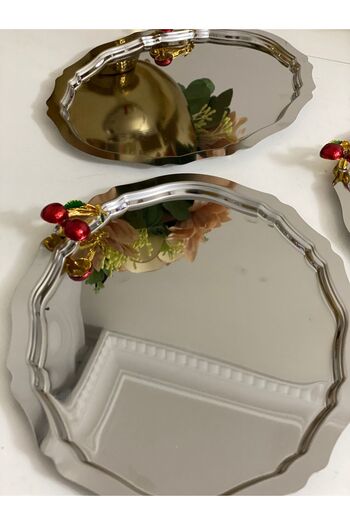 Elzemm store 20*25 CM Stainless Steel - 6-Piece Oval Model Presentation Tray, Cropped
