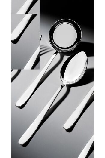 Nehir Stainless Steel Spoon and Ladle - 2 Pieces.Tableware Serving Set Set