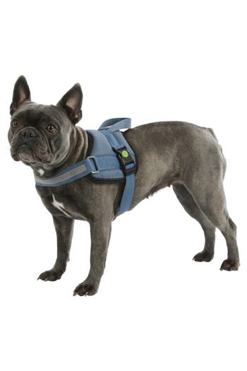 KERBL Waist Dog Collar Maestro 2.0 - S 45-60 Cm X 15 Mm