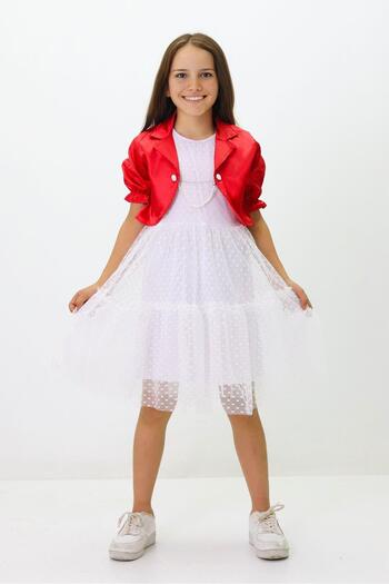 Fox Life Kids 23 April Girl's Tulle Satin Holiday Dress - Flk157