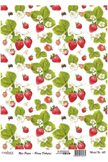 Cadence Rice Decoupage - Model 621