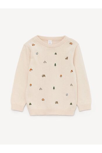 LC Waikiki Crew Neck Long Sleeve Baby Boy Knitwear Sweater
