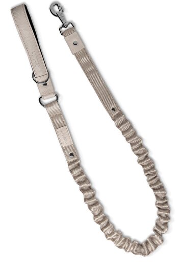 pasiole Shock Absorbing Dog Walking Leash, Anti Shock Spring Dog Walking Leash - Vera