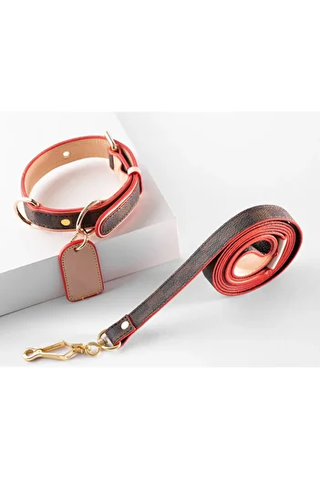 Pawsim 2.5cm Design Dog Collar and Walking Strap Set