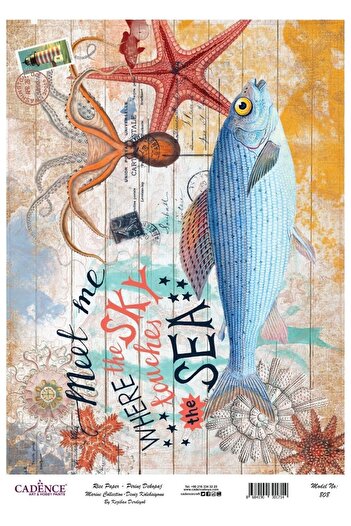 Cadence Rice Decoupage-808