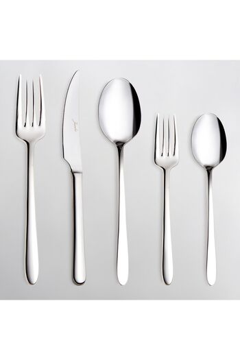 Jumbo Dubhe 60 Pieces 12 Person Fork Spoon Knife Set
