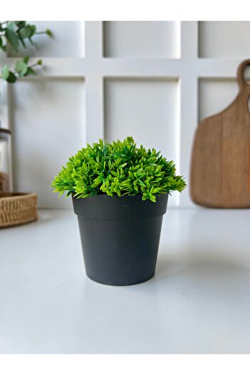 Mottogo Masă decorativă cu plante artificiale |   Acasă |   Decor pentru birou