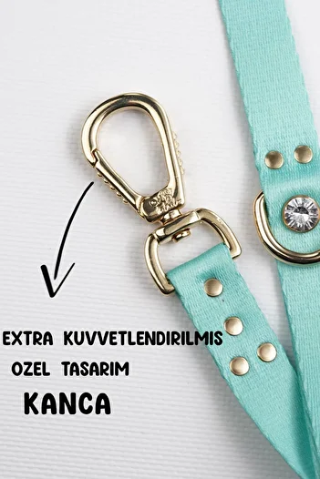 TheTailor Mint Green Stoned Dog Walking Collar