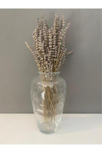 İkram Dünyası 1609 Model Glass Vase