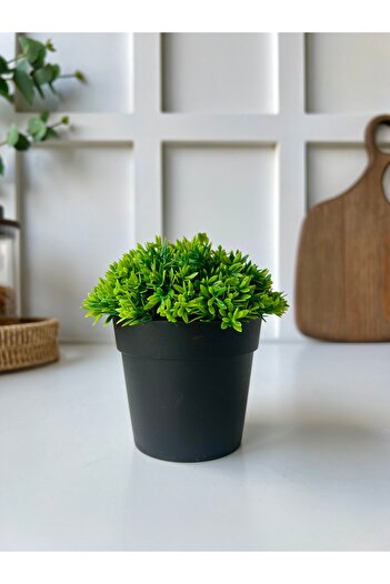 Mottogo Masă decorativă cu plante artificiale |   Acasă |   Decor pentru birou