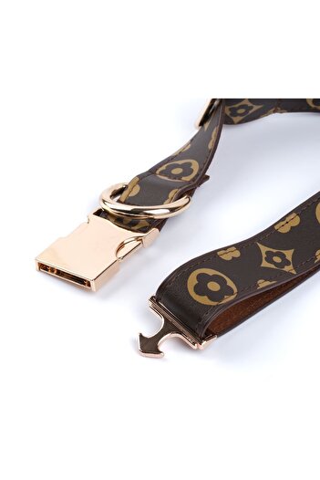 Pawsim Adjustable Brown Dog Collar and Flower Patterned Walking Strap Set